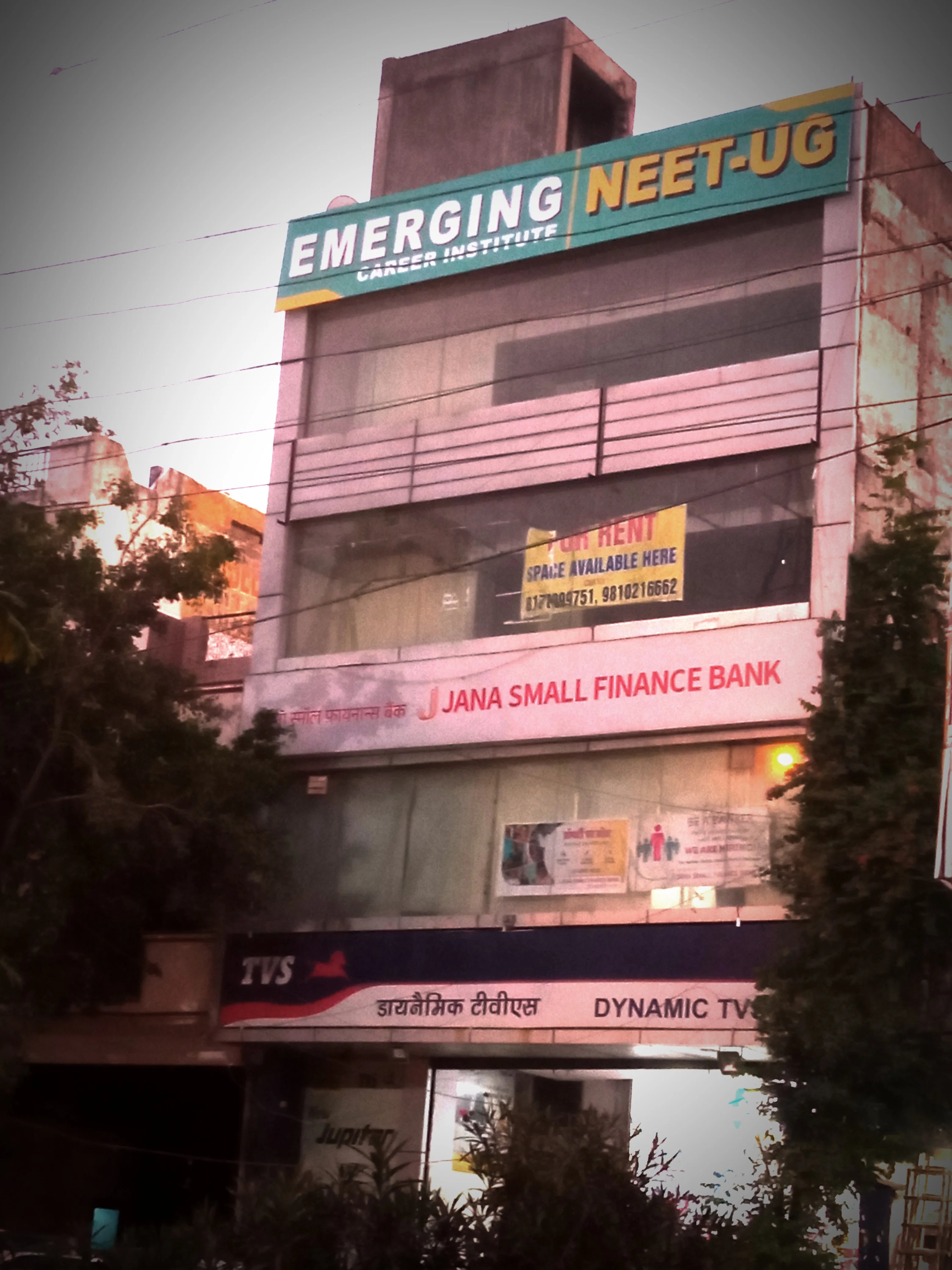 Emerging Career Insitute
